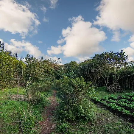Casa Com Quinta Tradicional * Pico da Pedra