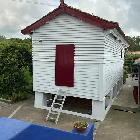 Casa Com Quinta Tradicional 农家乐 Pico da Pedra